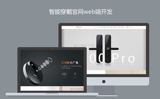 ǰ����վ������վ���迪��Java/PHP���ƿ���